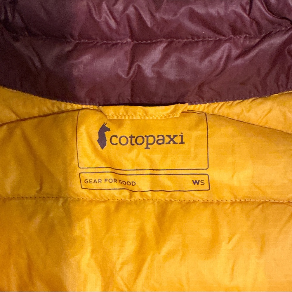 Cotopaxi Burgundy Vest with Vibrant Stripes - Picture 3 of 5
